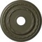 Ekena Millwork Dublin Ceiling Medallion (Fits Canopies up to 5 1/8"), 17 7/8"OD x 3 5/8"ID x 1 1/4"P, Witch Hazel CM17DUWHF - alternate 1